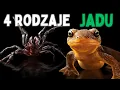 Lagu Kilka słów o wszystkich 4 rodzajach jadu