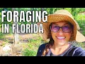 Foraging FAILS How to avoid a failed FORAGING TRIP Home Apothecary