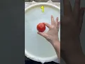 Download Lagu How Many Tomato Sink In Water?