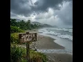 Summer Rain