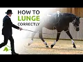 Download Lagu Lunging with the Cavesson or Bridle | What you need to know | wehorse