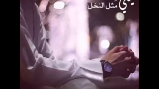 شيلة ليتني مثل النخل أداء ضافر الحبابي   أصلي   مسرع دندنها