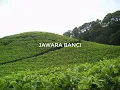 Download Lagu Lagu Sunda Doel Sumbang Jawara Banci
