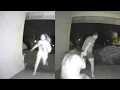 Download Lagu Woman Screams for Her Life on Doorbell Camera Footage