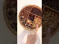 Amber GiftDrop by Nuts com Experience