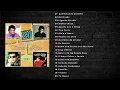 Download Lagu 20 Sucessos de Sandro Lúcio