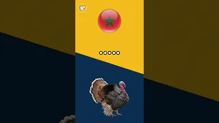 لن تصدق اسم الديك الرومي في لغات العالم 