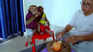 Monkey Cute Meals With Friends So Yummy #youtube