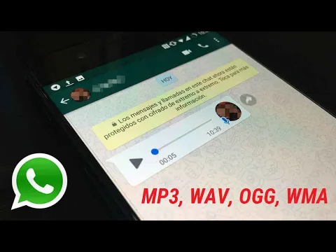 Download MP3 Audios Whatsapp a MP3 - Conversor todos audios