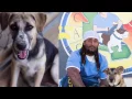 Download Lagu An inmates is reborn in the prison dog program
