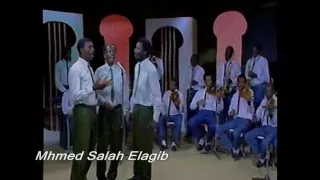 المدفع الرزام فرقة سلاح النقل 94 