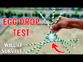Extreme Egg Drop Test Using Straws From 50 Ft Egg Science Experiment