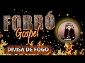 Download Lagu Corinho de Fogo - Versão Piseiro - Divisa de Fogo - by Eliton Santos