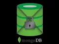 How to secure mongodb database when in Docker container