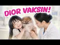 Lagu YUKA-CHAN ANTAR ANJING KESAYANGAN VAKSIN DI DOKTER HEWAN! | vlog