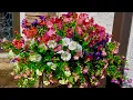 Combine the Best Artificial Outdoor Flowers for Realistic Look Fake Faux Pansies Daisies Planter