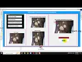 Skin Disease Classification using Deep Learning MATLAB Final Year IEEE Project