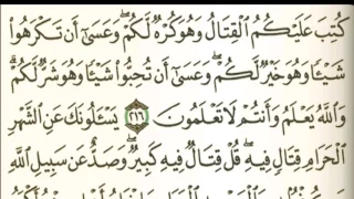 سورة البقرة من آية ٢١٦ إلى آية ٢١٩ صوت وصورة للشيخ ماهر المعيقلي ٣٤ الوصففء مهمم 