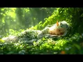 Spirit of the Woods | Celtic Fantasy Music - Enchanting Ambient Music