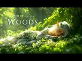 Download Lagu Spirit of the Woods | Celtic Fantasy Music - Enchanting Ambient Music