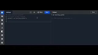 Python print explained in 30 sec