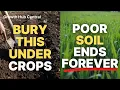 Lagu Bury This Under Your Crops and Fix Poor Soil FOREVER | Soil Building Secret That Actually Works