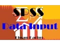 How to input data into the SPSS data editor
