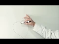 Aorta Anatomy
