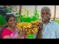 Download Lagu மலை வாழைபழத்த உரிச்சு மால்ட் செய்யப்போறோம்! ரொம்ப ரொம்ப ரொம்ப ஈஸி😍