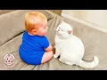 Lagu Cats Have The Best Reactions to Meeting a Baby for the First Time ❤️ Best Of 2025