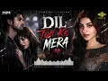 Dil Tod Ke Mera (EDM Remix)  | Bollywood Sad Song | Fizzee Lofi | Ali Khan | Fizzee Remix