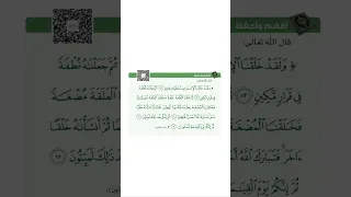 سورة المؤمنون ١٢ ١٦ 