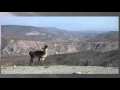 Download Lagu The Andes and the Inka by Christopher Carter