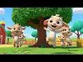 Baby Goat Say Baa Baa Baa | Popular Nursery Rhyme For Kids | Sing Along With Kids