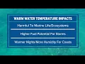 Hot tub level Water temperatures off Florida Keys challenges global record