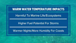 Hot tub level Water temperatures off Florida Keys challenges global record