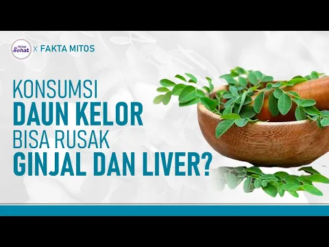 Ketahui Manfaat dan Efek Samping Daun Kelor Pada Kesehatan