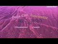 Download Lagu SAWEETIE \u0026 DOJA CAT - BEST FRIEND ft. Jamie, Chanmina but i added doja's verse into the remix