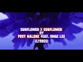Lagu 1 HOUR SUNFLOWER X SUNFLOWER - POST MALONE FEAT. SWAE LEE (LYRICS)
