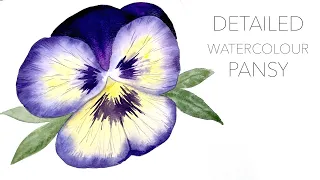 Download Detailed Watercolour Pansy MP3