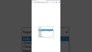 Select Tag Select Drop Down Menu Design Using HTML CSS