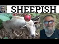🔵 Sheepish Meaning - Sheepish Definition - Sheepishly Explained - Sheepish Vocabulary CAE CPE IELTS
