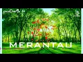 Download Lagu Merantau,endang.s