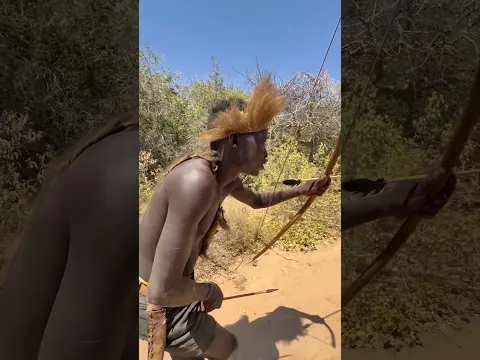 The Hadzabe bow is a simple but highly effective and used for thousands of years