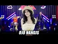 Download Lagu ARLIDA PUTRI - OJO NANGIS (Official Live Music Video)