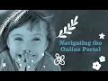 Navigating the Online Portal Updated