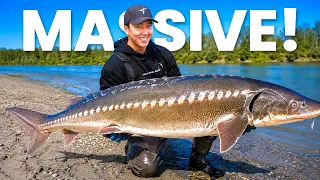 I Caught the Oldest Fish in the World (100+ Year Old DINOSAUR)