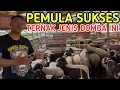 Download Lagu CARA TERNAK PEMULA AGAR SUKSES PELIHARA KAMBING INDUKAN