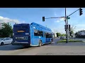 Pace Bus 2020 ElDorado National Axess BRT 40 CNG 20503 on Route 352