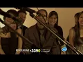 นางแมว (Acoustique Version): หิน เหล็ก ไฟ [Official MV]
